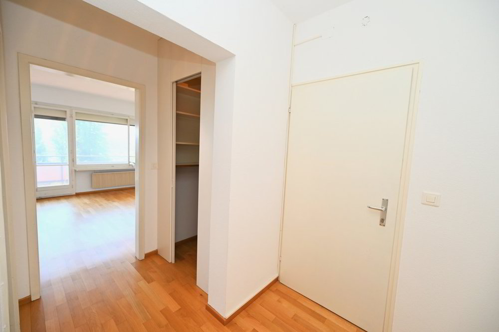 2 Zimmer Wohnung zum verkaufen in Ruvigliana - Bild 1/13