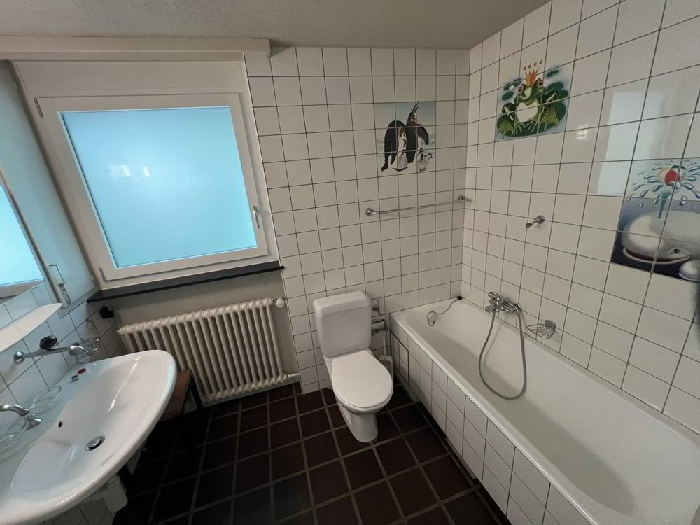 7 Zimmer Haus zum verkaufen in Frenkendorf - Bild 1/13