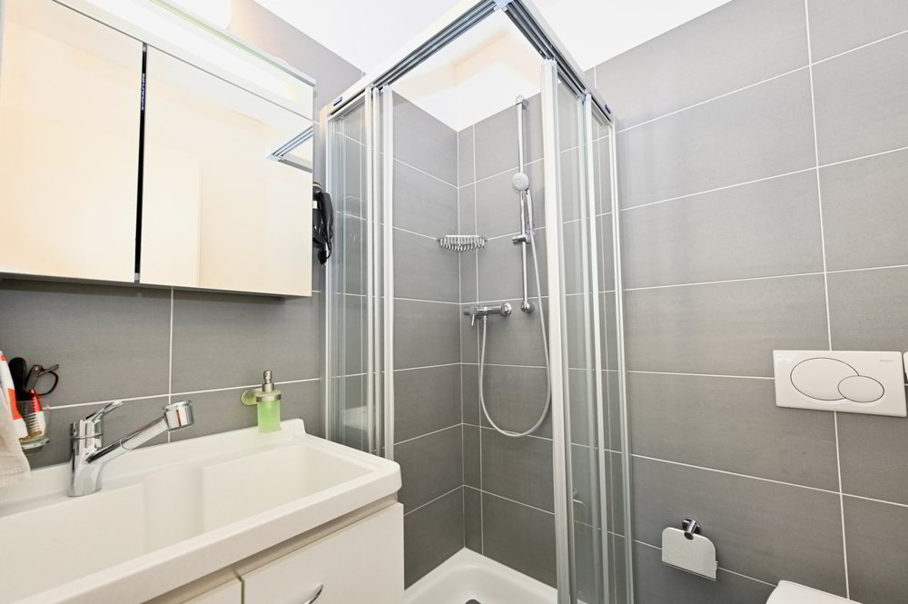 4 Zimmer Wohnung zum verkaufen in Pregassona - Bild 1/13