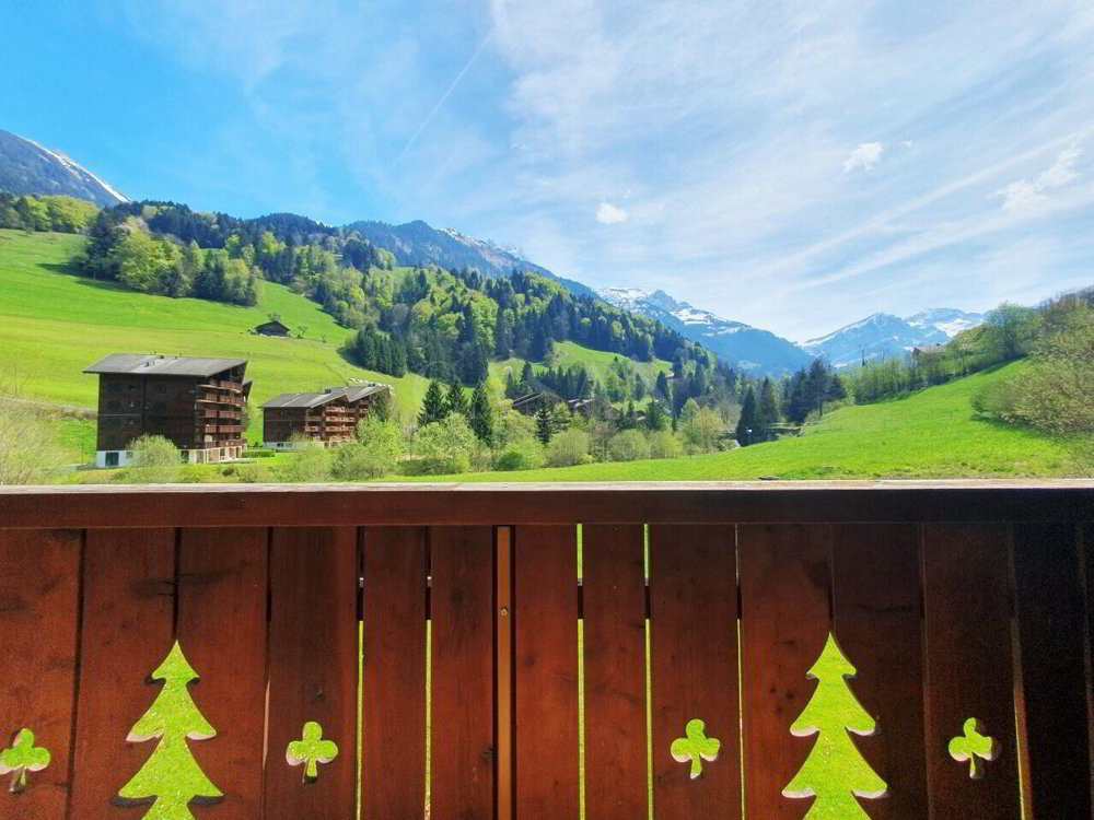 2 Zimmer Wohnung zu vermieten in Val-d'Illiez - Bild 1/5