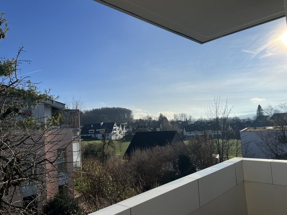 House for sale, Büelhofstrasse 5 (Winkel, CH) - Ansicht 2