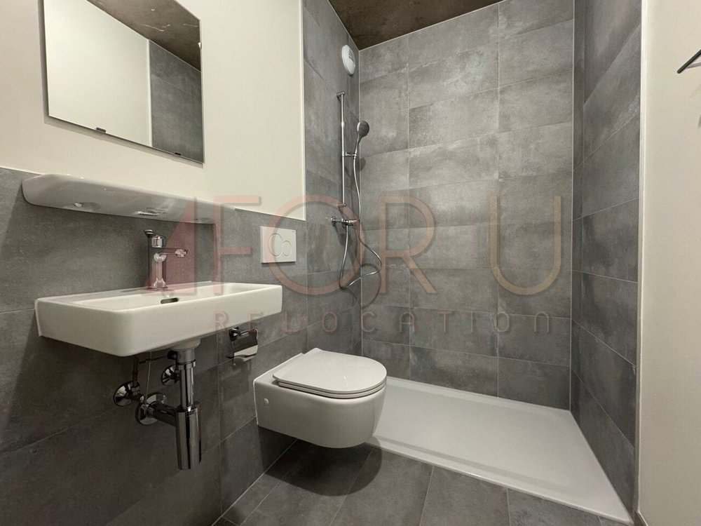 Appartement 5 pièces à louer à Carouge GE - image 1/12