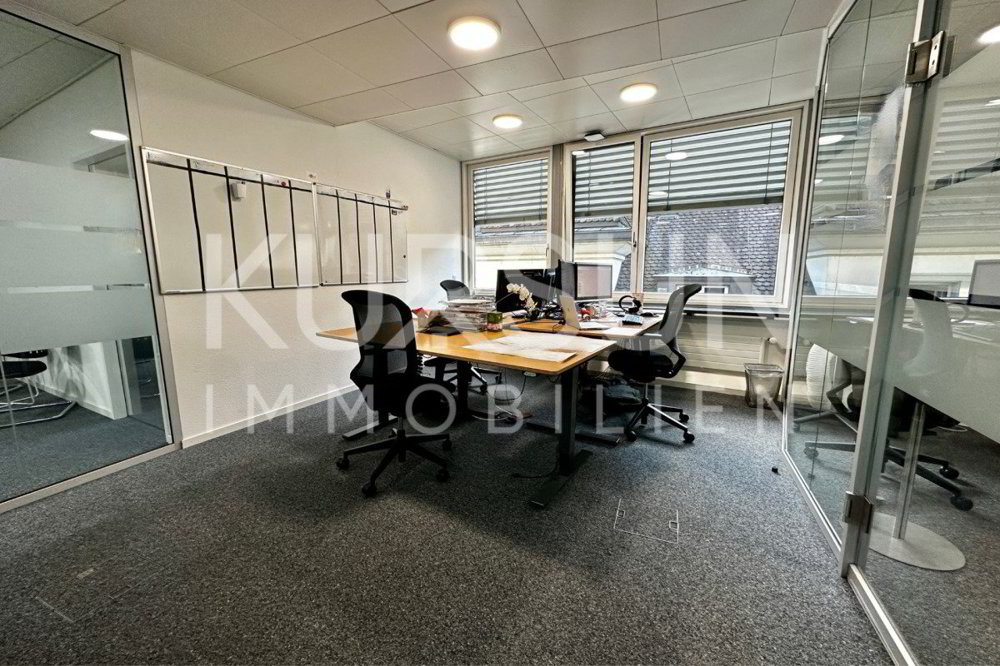 Ufficio & Commercio di null locali in affitto a Bâle - immagine 1/13