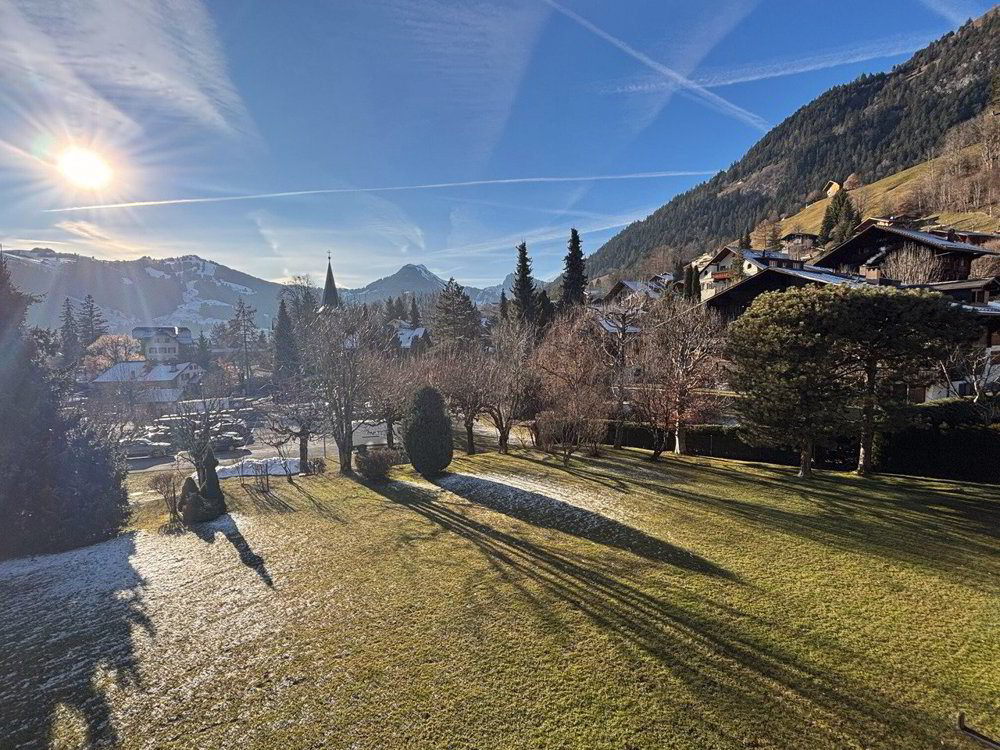 4 Zimmer Wohnung zum verkaufen in Château-d'Oex - Bild 1/9