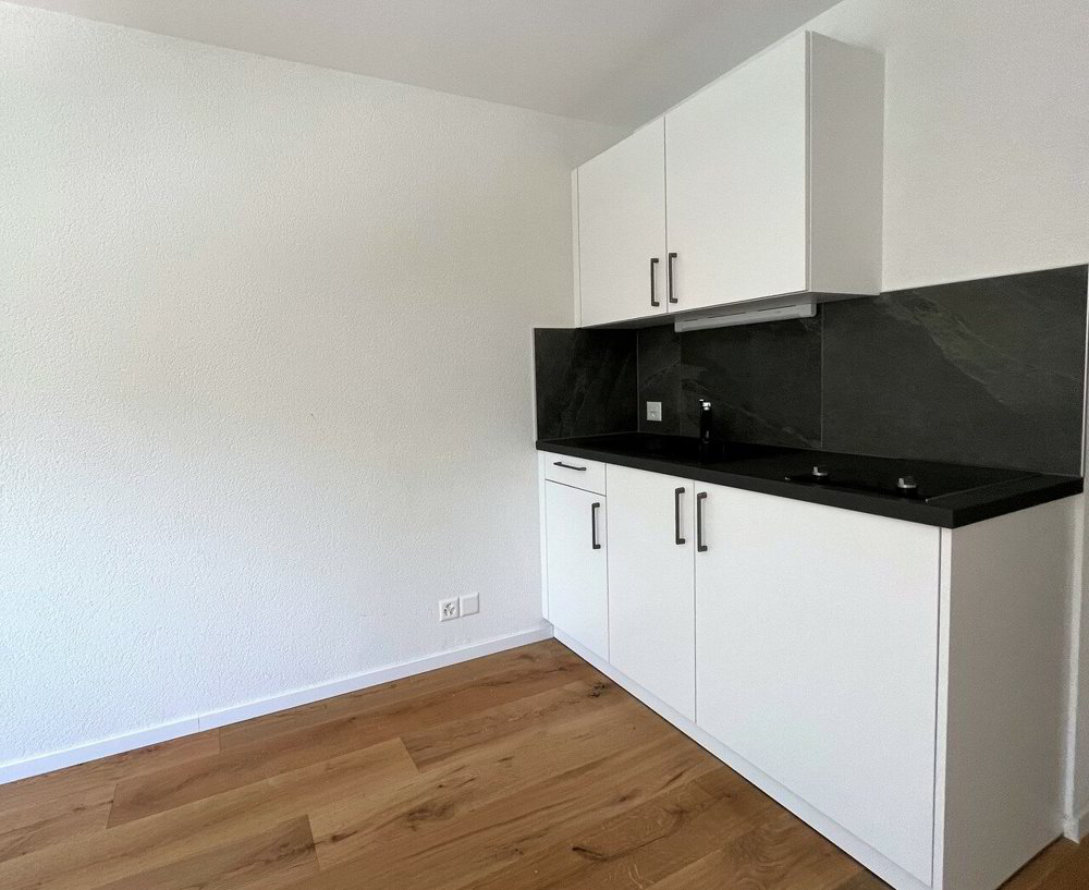 Appartement 1 pièces à louer à Freiburg - image 1/3