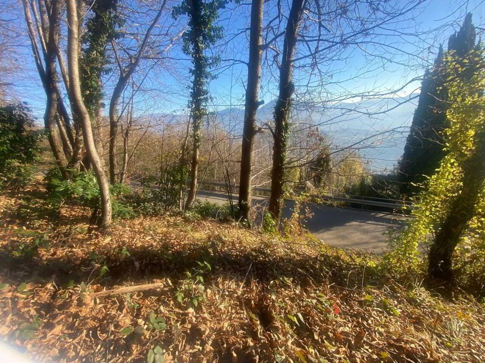 null rooms Land to buy in Cademario - image 1/12