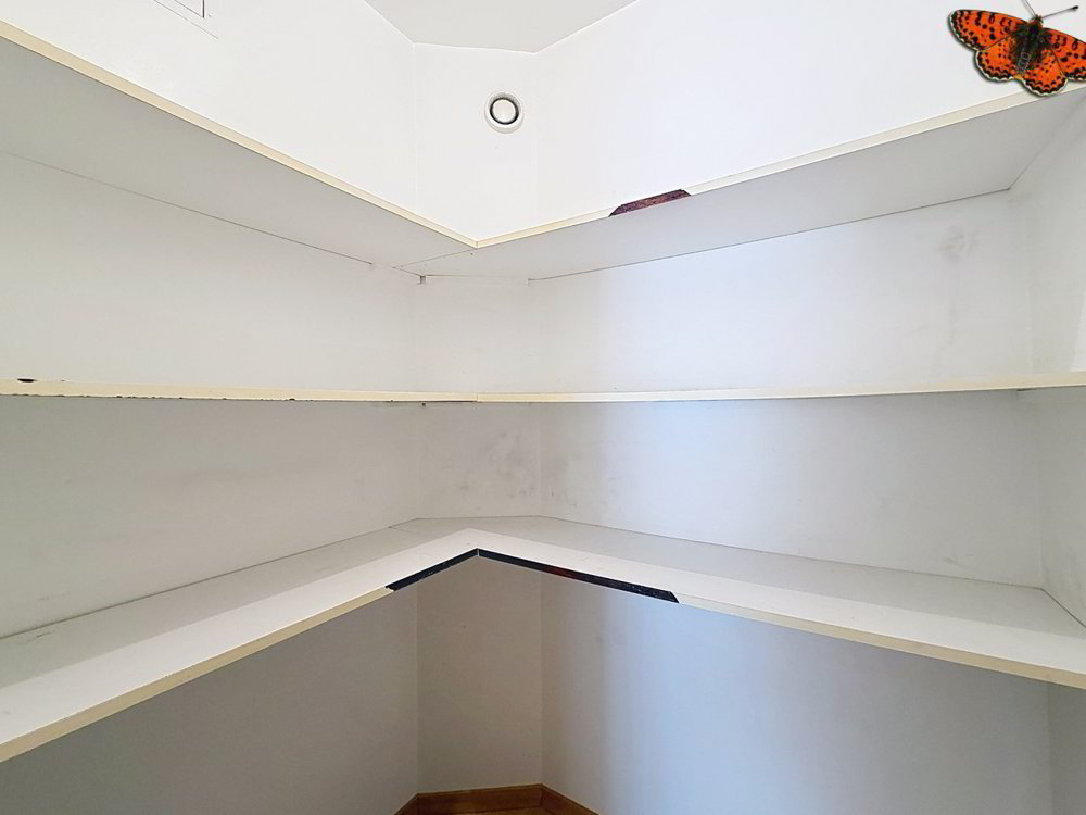 3 Zimmer Wohnung zu vermieten in Payerne - Bild 1/9
