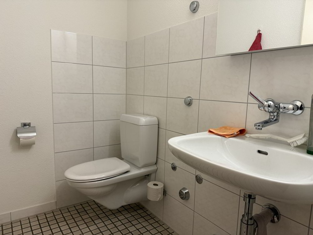 null rooms Office & Commercial for rent in Ebikon - image 1/11