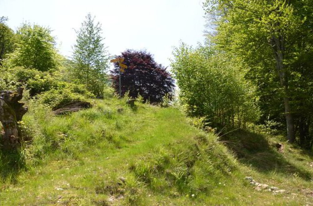 Casa di 2 locali in vendita a Camignolo - immagine 1/13