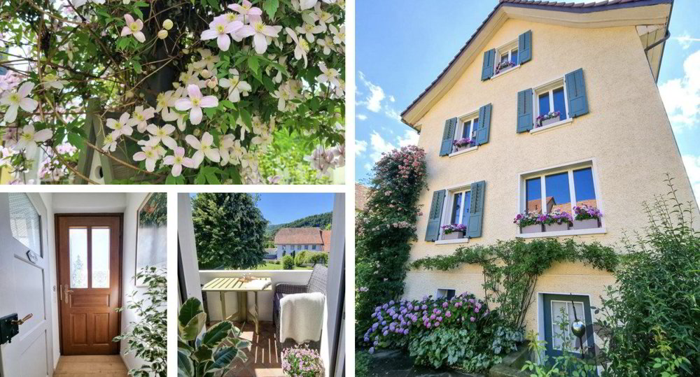 Maison 4 pièces à acheter à Lostorf - image 1/13