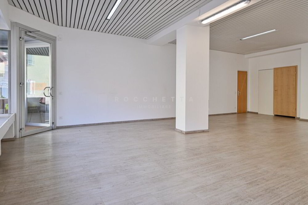 Ufficio & Commercio di null locali in vendita a Minusio - immagine 1/12