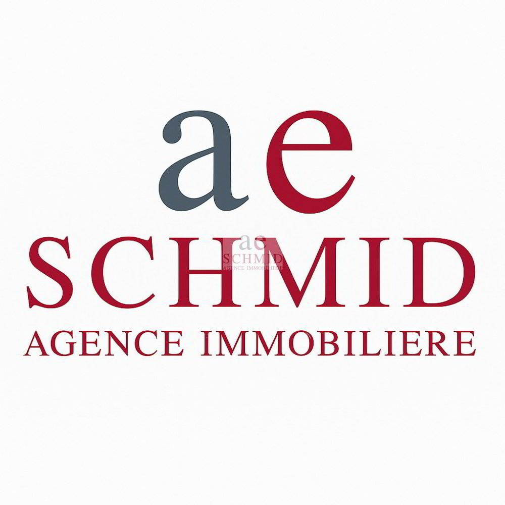 5 Zimmer Haus zum verkaufen in Meyrin - Bild 1/10