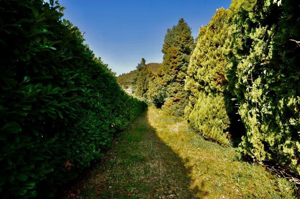 10 rooms House to buy in Novaggio - image 1/13