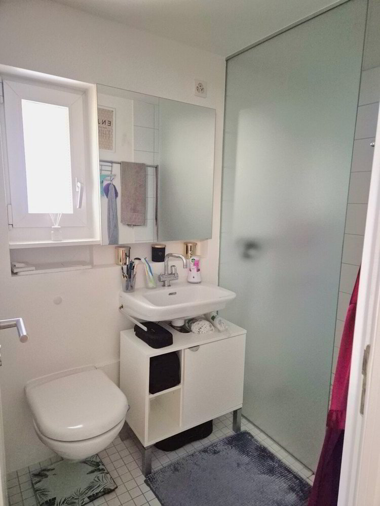 Appartement 3 pièces à louer à Teufen AR - image 1/10