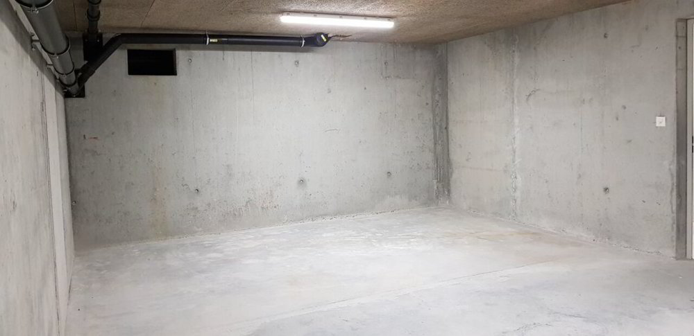 1 rooms Office & Commercial for rent in Saxon - image 1/2
