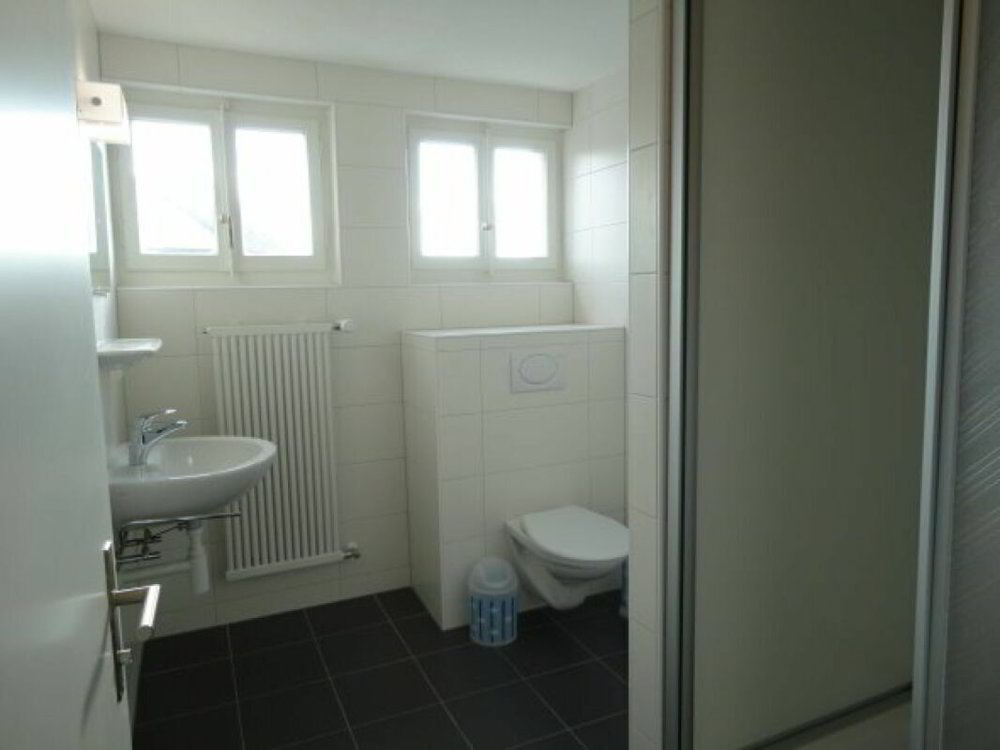 Appartamento di 1 locali in affitto a Rupperswil - immagine 1/6