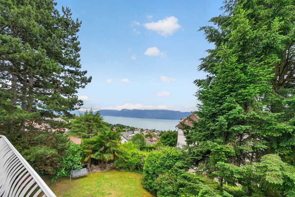 6 rooms House to buy in Pully - image 1/12