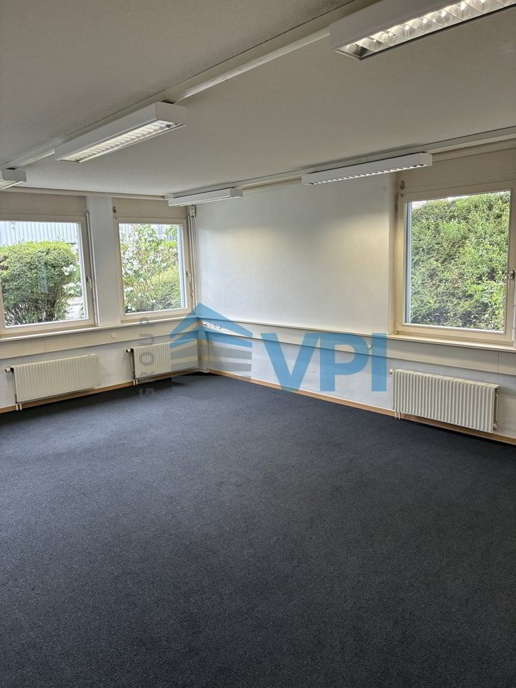 null rooms Office & Commercial for rent in Le Mont-sur-Lausanne - image 1/13