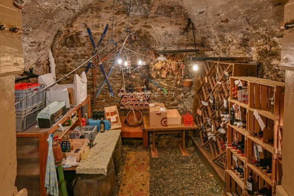 Maison 7 pièces à acheter à Camorino - image 1/13