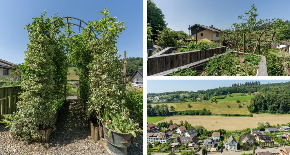 Maison 4 pièces à acheter à Zofingen - image 1/13