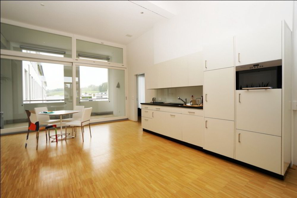 3 rooms Office & Commercial to buy in Ermatingen - image 1/6