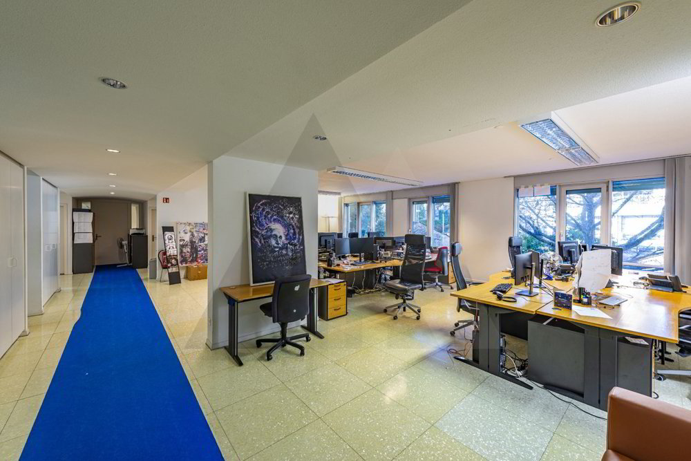 Ufficio & Commercio di 19 locali in vendita a Lugano - immagine 1/13