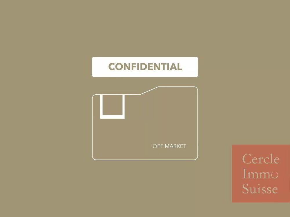 Ufficio & Commercio di null locali in vendita a Versoix - immagine 1/1