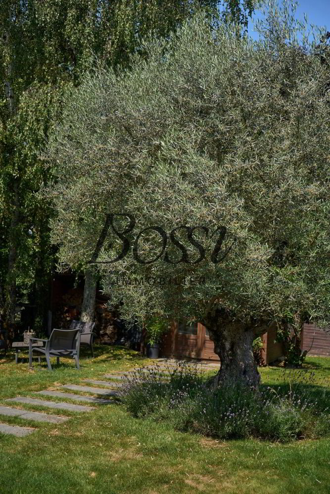 Casa di 11 locali in vendita a Crans-près-Céligny - immagine 1/11