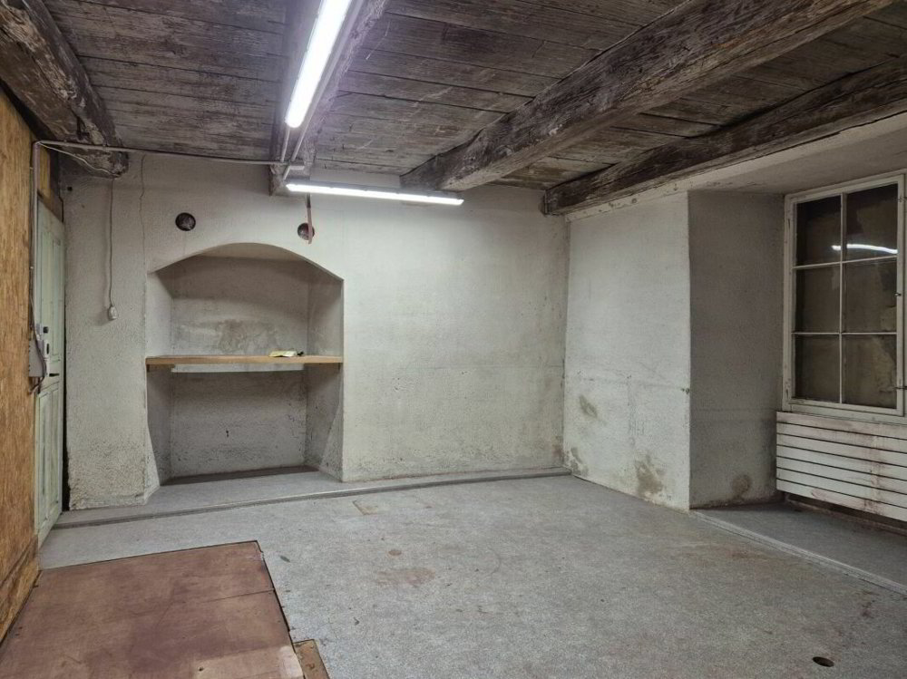 Bureau & Commerce null pièces à louer à Flums - image 1/5