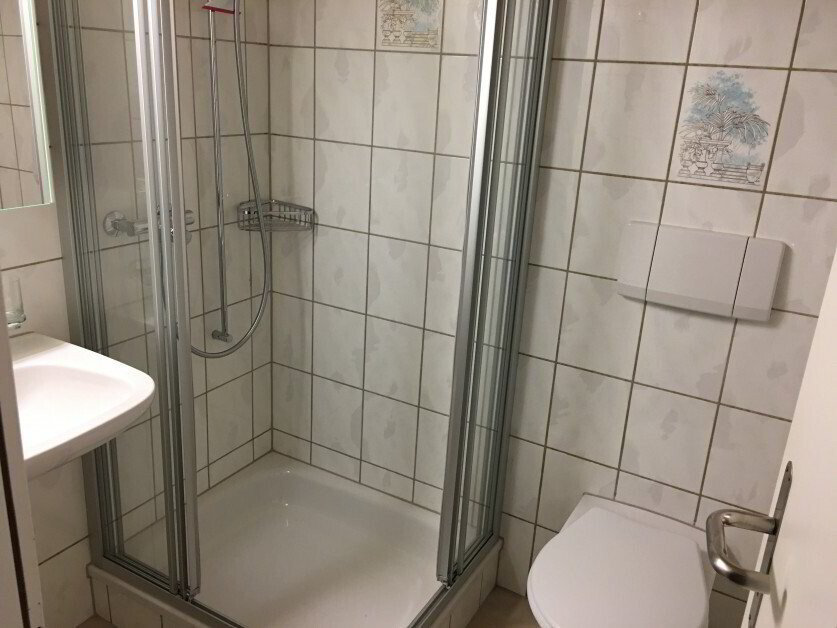 Appartamento di 2 locali in affitto a Zollbrück - immagine 1/5