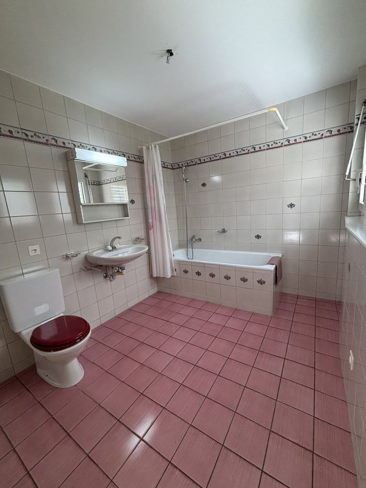 7 Zimmer Haus zum verkaufen in Chamoson - Bild 1/13