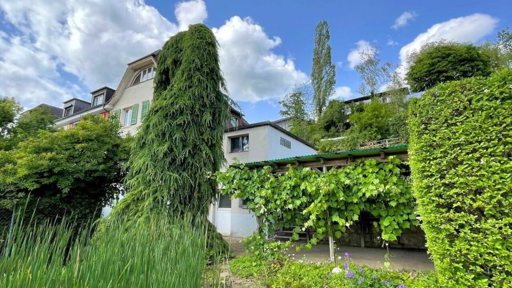 6 Zimmer Haus zum verkaufen in Sissach - Bild 1/13