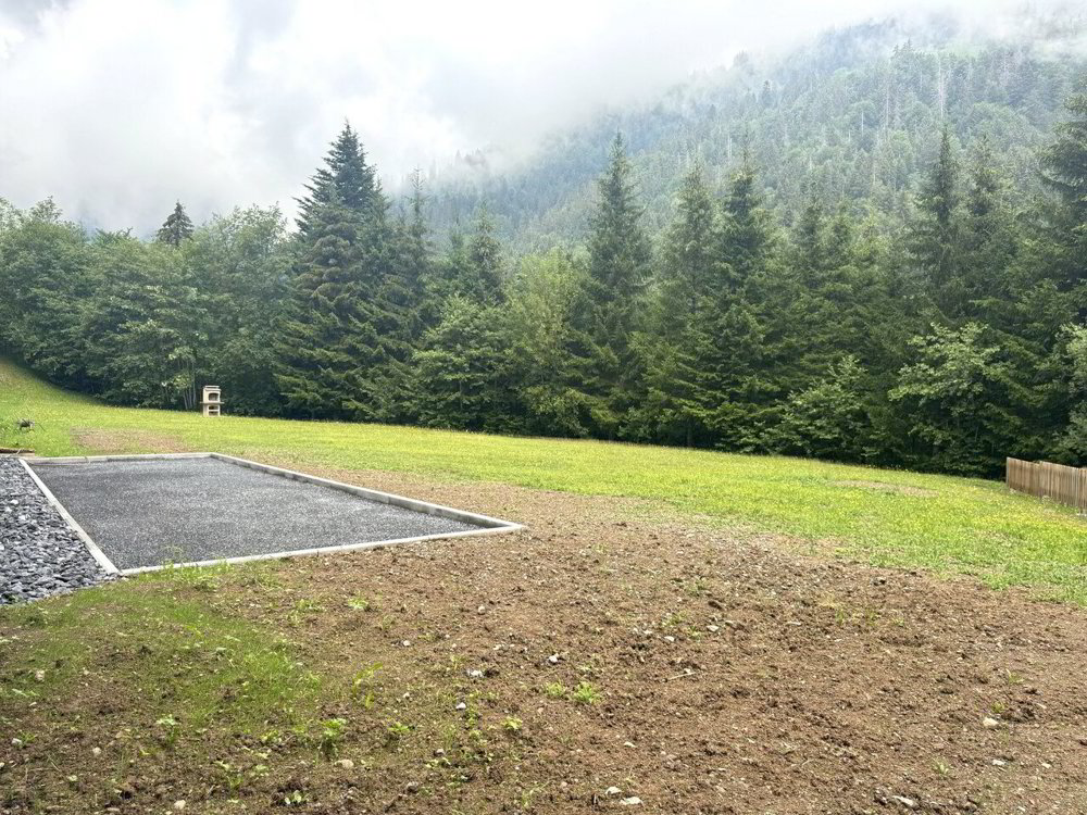 1 Zimmer Wohnung zum verkaufen in Torgon - Bild 1/11