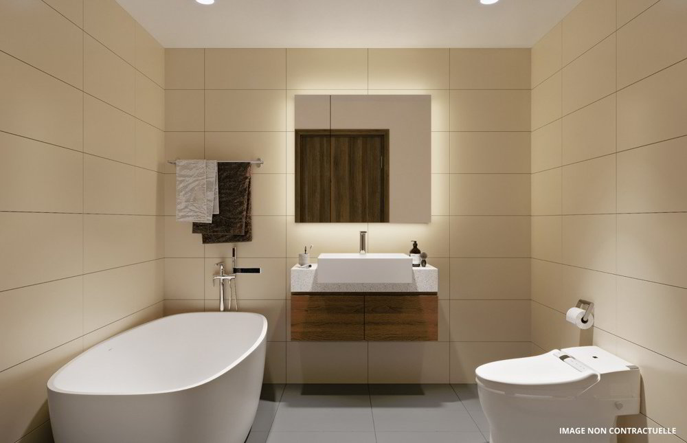 Appartement 4 pièces à acheter à Chavannes-les-Forts - image 1/7
