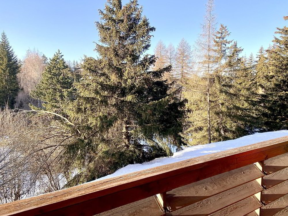 2 Zimmer Wohnung zu vermieten in Crans-Montana - Bild 1/10