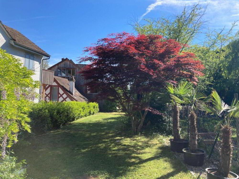 4 Zimmer Haus zu vermieten in Weinfelden - Bild 1/13