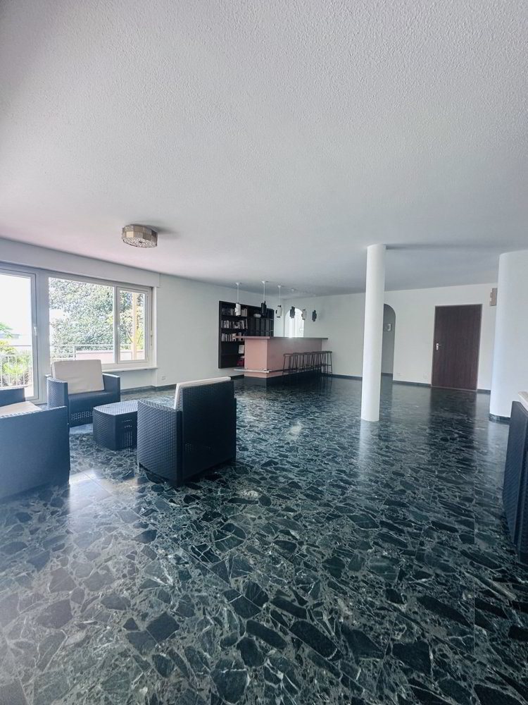 1 rooms Apartment to buy in Minusio - image 1/13