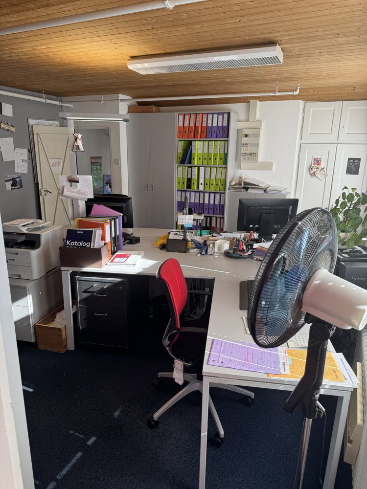 null rooms Office & Commercial to buy in Flamatt - image 1/13