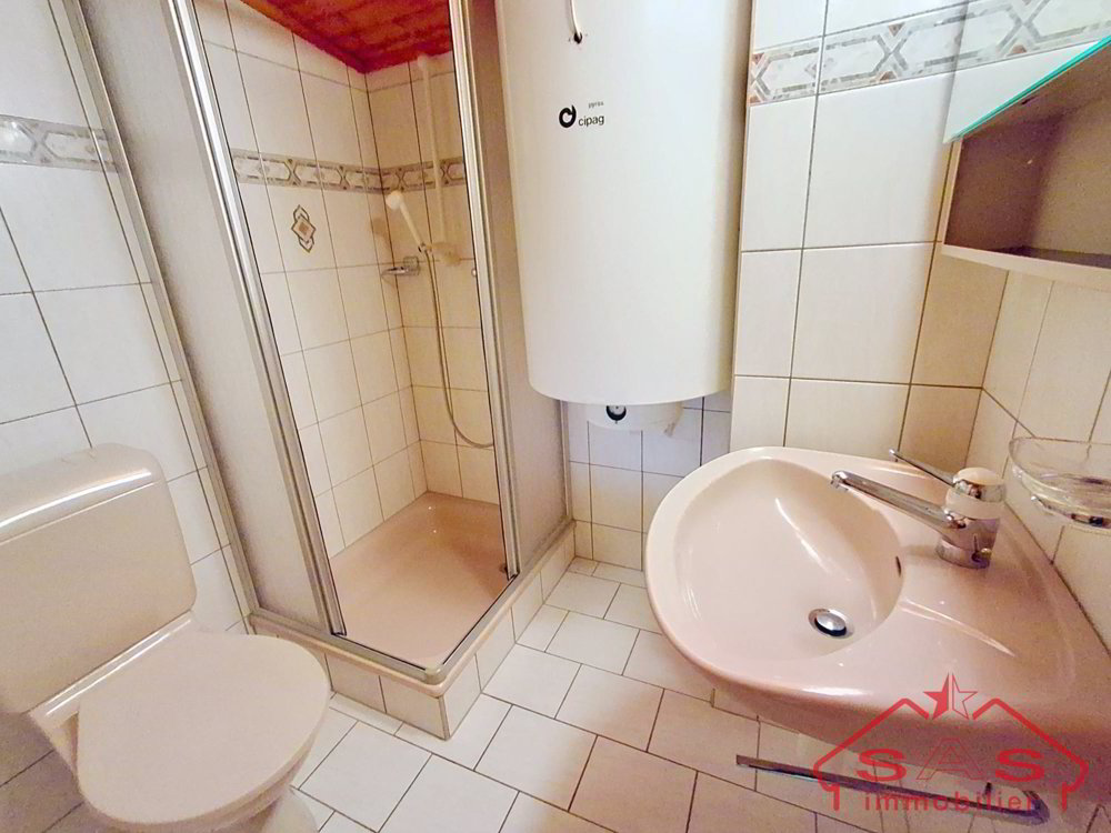 4 Zimmer Haus zum verkaufen in Sembrancher - Bild 1/13
