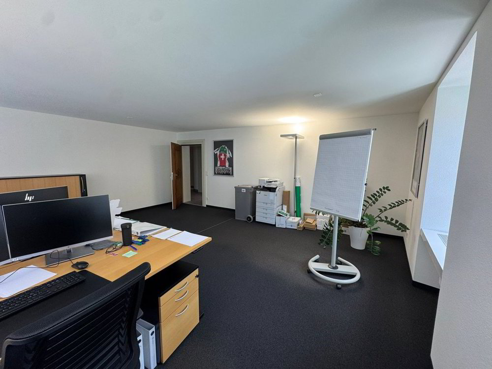 Ufficio & Commercio di null locali in affitto a Altdorf UR - immagine 1/13