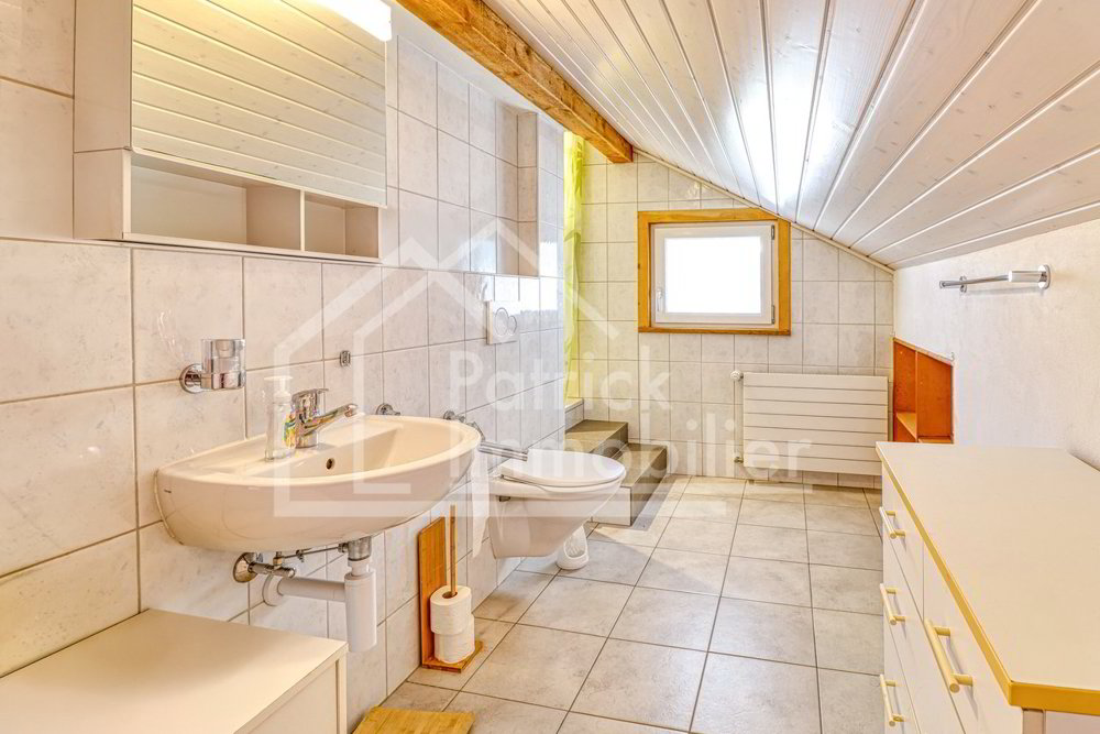 Maison 4 pièces à acheter à Broc - image 1/13
