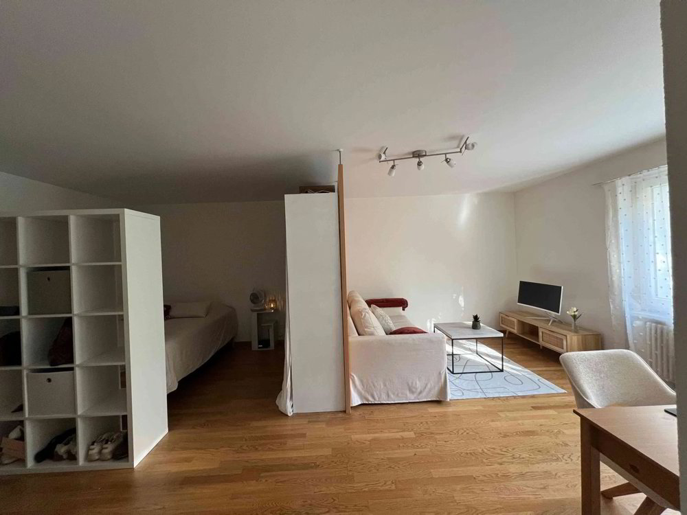 1.5 rooms Apartment for rent in Zurich - image 1/8
