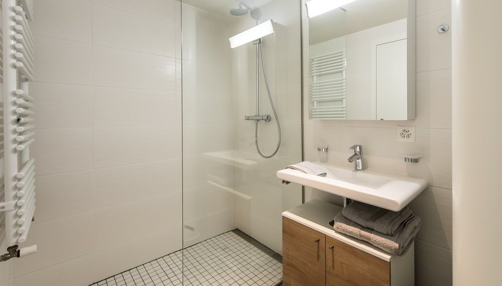 Appartement 1 pièces à louer à Carouge GE - image 1/8