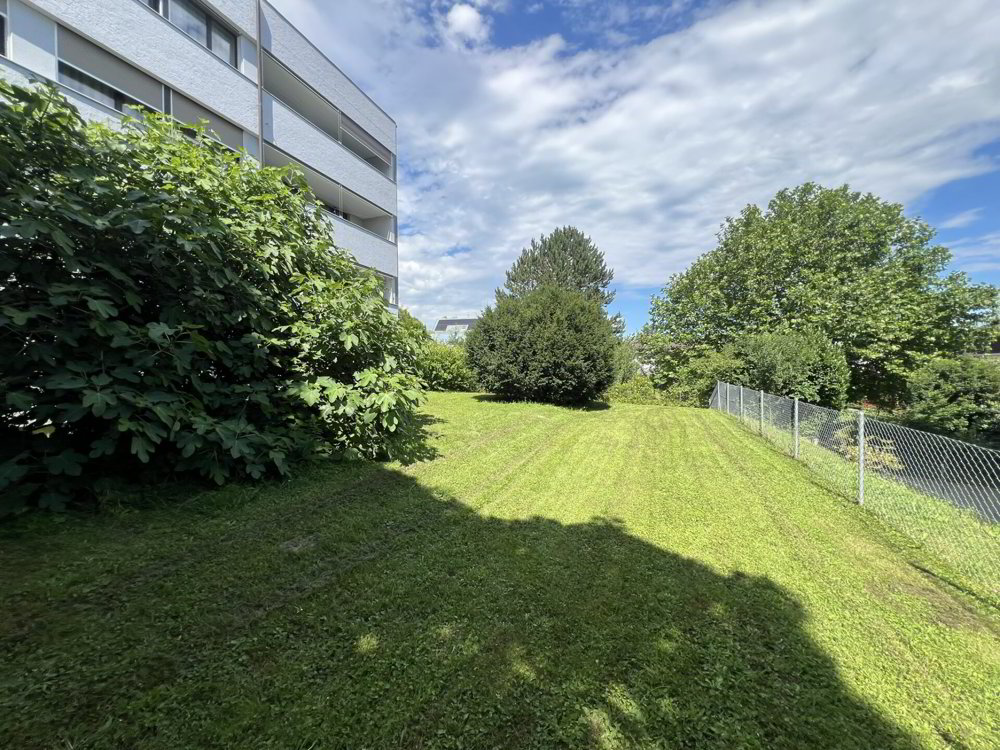 Appartamento di 3 locali in affitto a La Neuveville - immagine 1/8