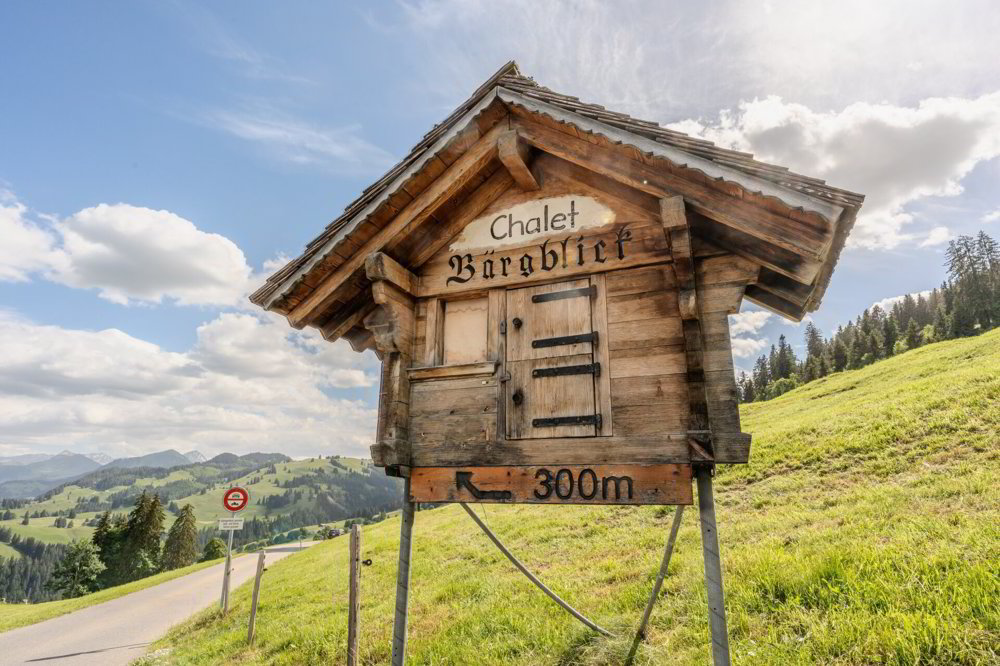 Maison 7.5 pièces à acheter à Boltigen - image 1/29