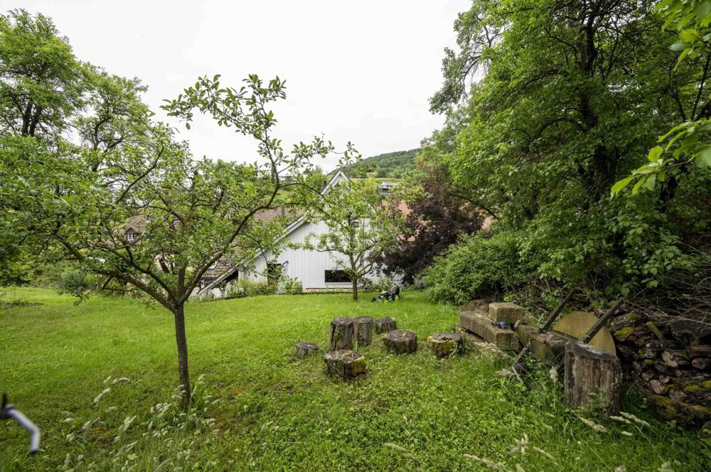 null Zimmer Haus zum verkaufen in Zeglingen - Bild 1/15