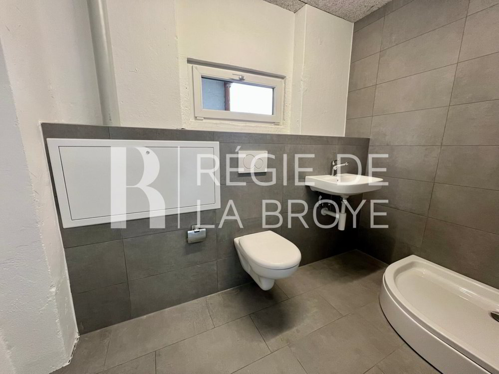 null rooms Office & Commercial for rent in Bussy FR - image 1/7