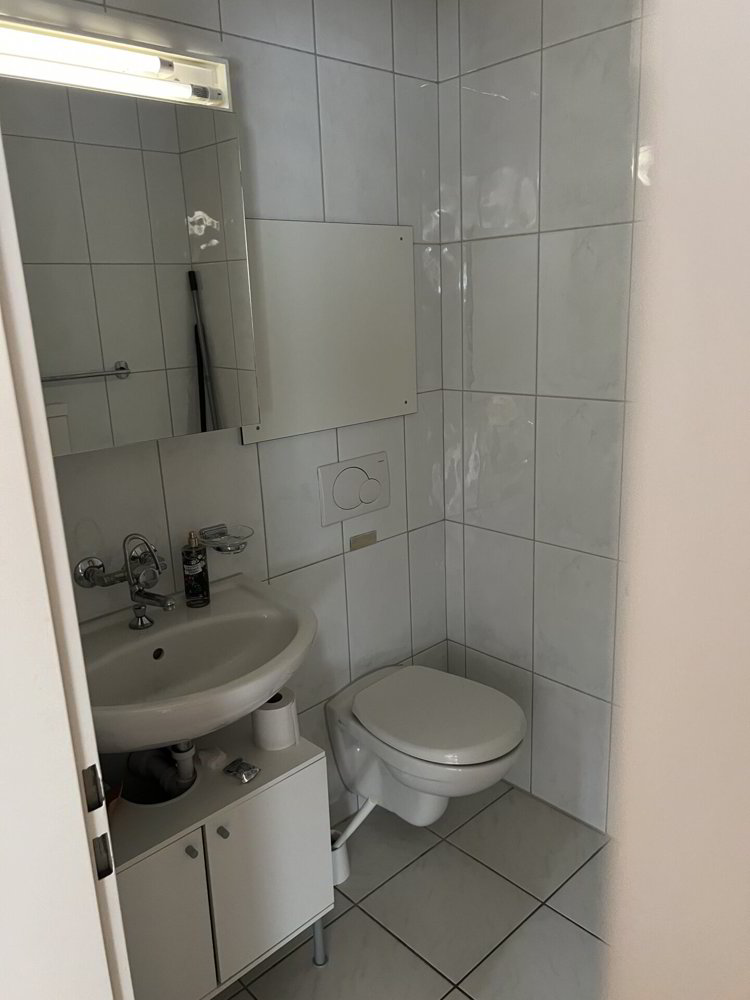 4.5 Zimmer Wohnung zu vermieten in Matzingen - Bild 1/12