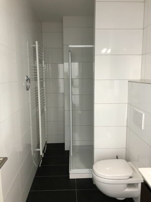 Ufficio & Commercio di 3 locali in affitto a Neuhausen am Rheinfall - immagine 1/8