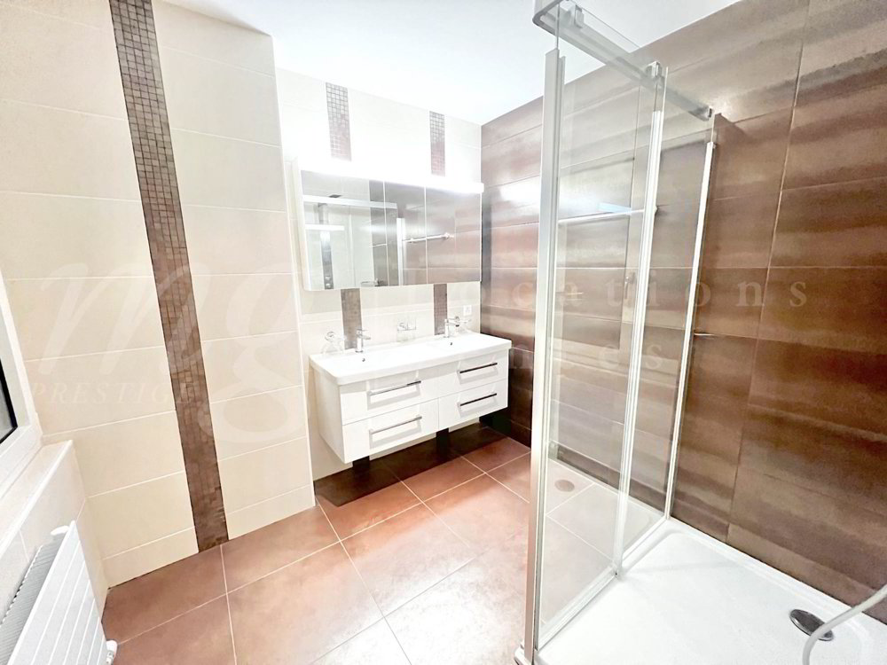 Maison 10 pièces à louer à Vandoeuvres - image 1/13